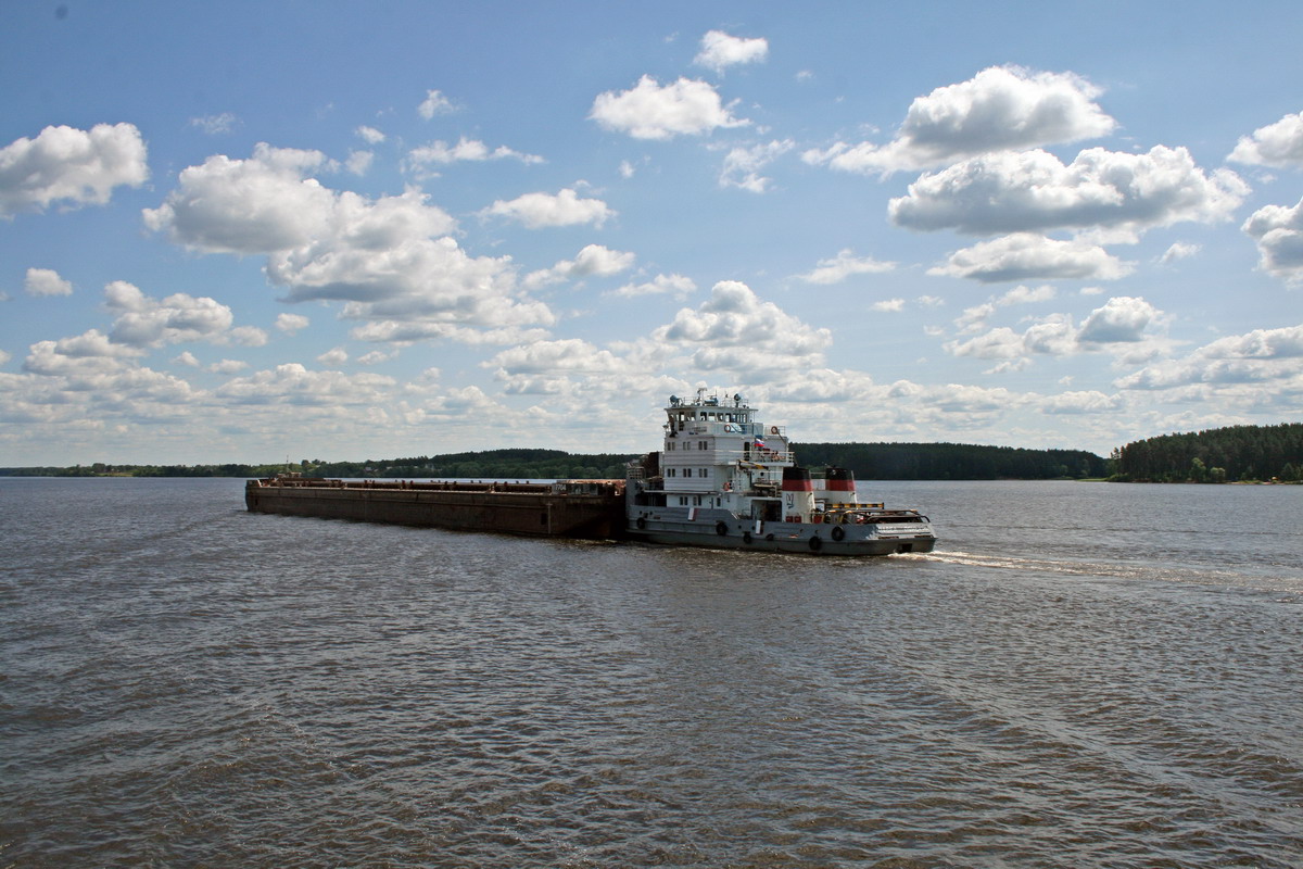 7704, Павел Пянькин