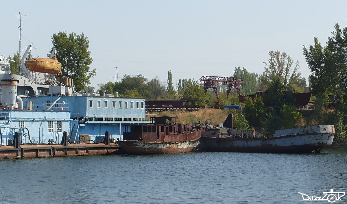 Пион. Волжский