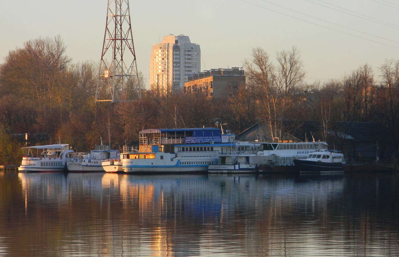 Михаил Сеспель, Командор