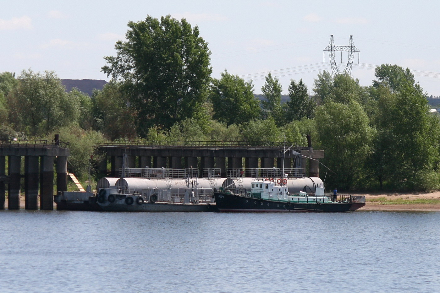 Талица, Ассоль