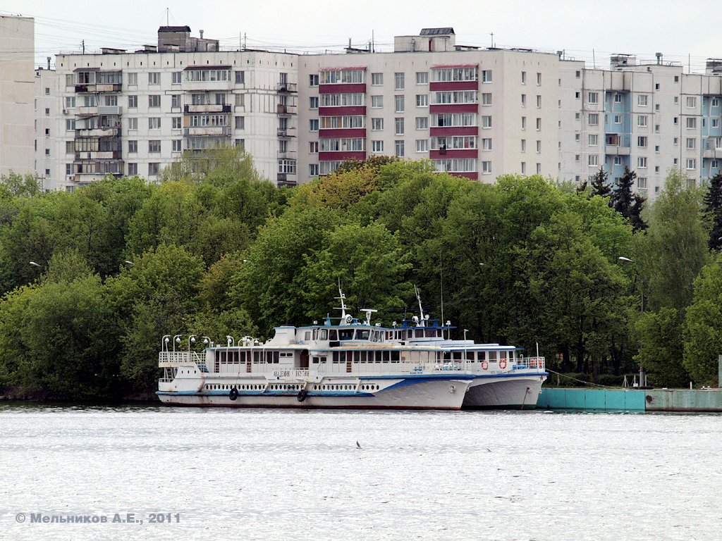 Академик Якутин