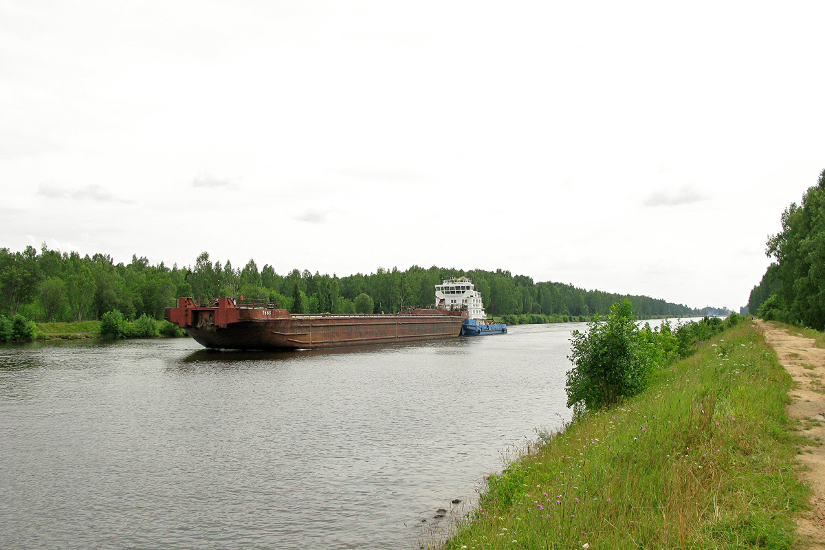 7663, Павлин Виноградов