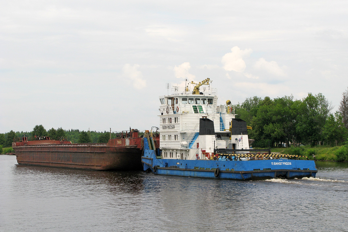 7663, Павлин Виноградов