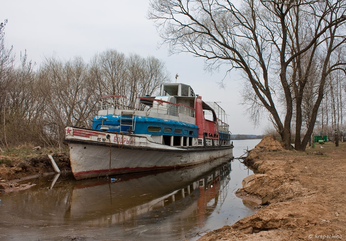 Бодрый