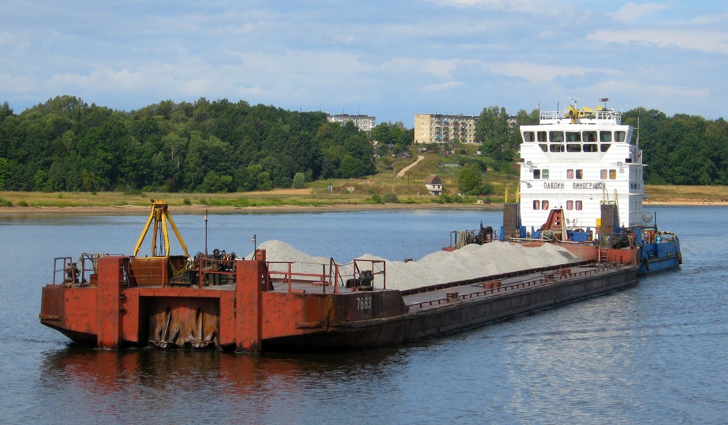 7663, Павлин Виноградов