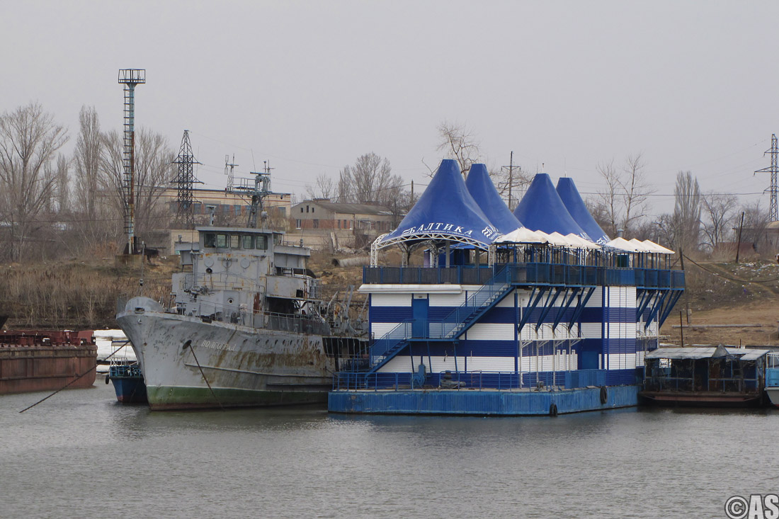 Волгоград, Баламут