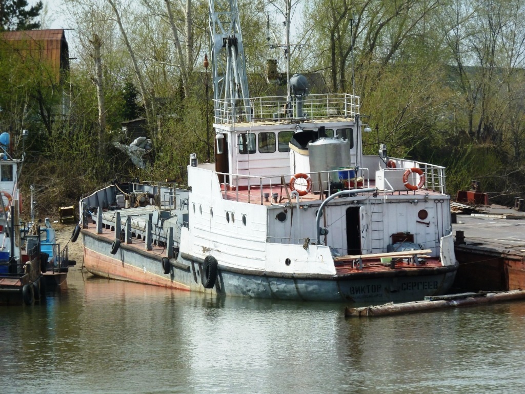 В. Сергеев