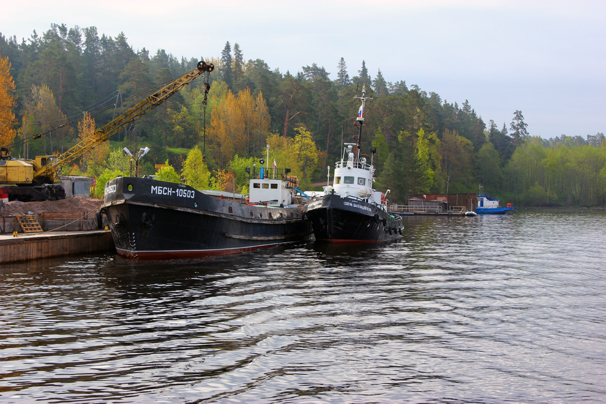 МБСН-10503, Святой Александр Невский