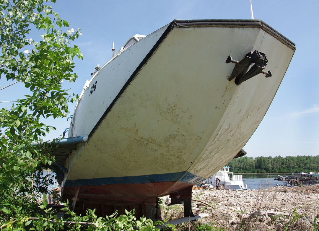 Полесье-106