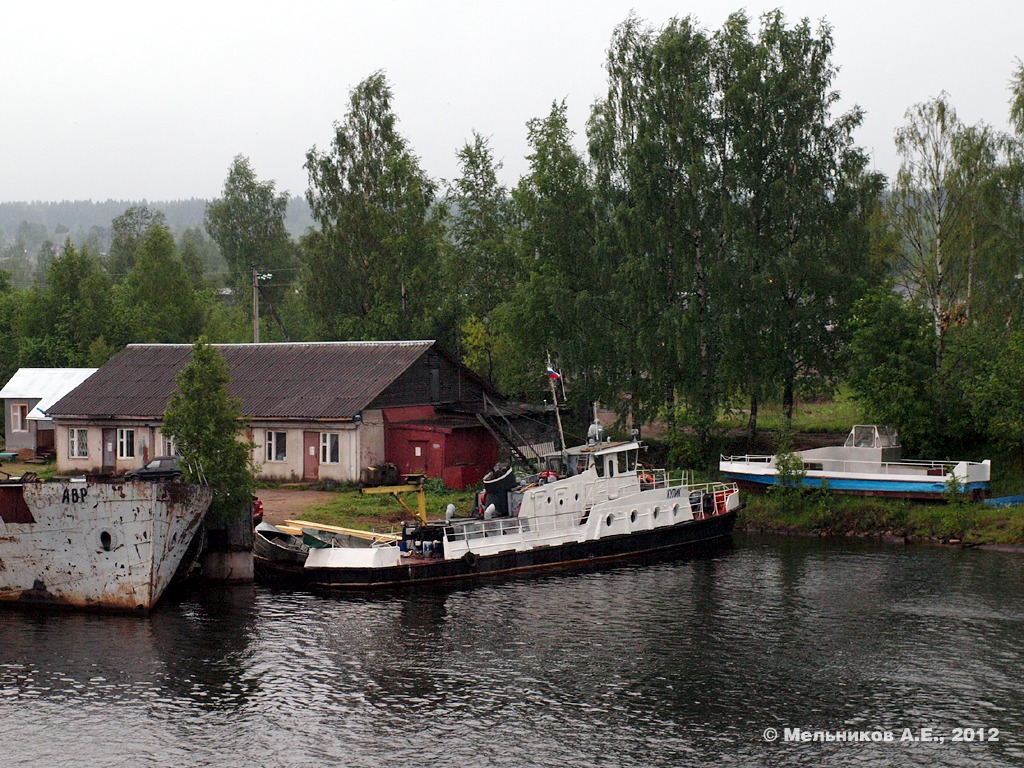 Кулик, Брынь