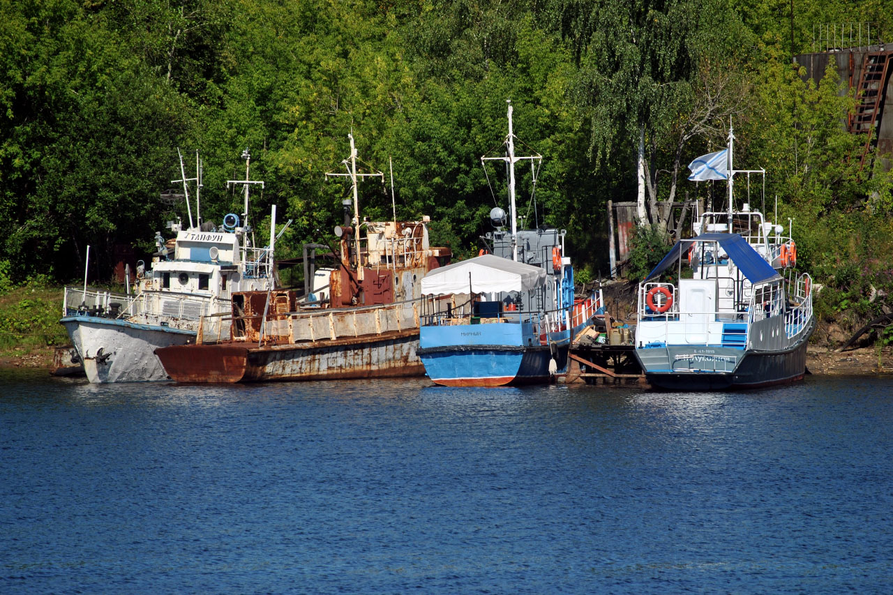 Тайфун, Орлёнок, Мирный, Ф.Н. Лукоянов