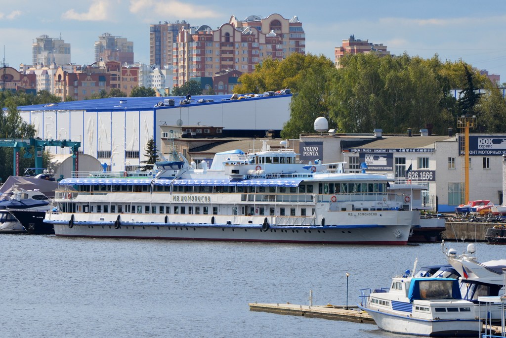 М.В. Ломоносов, Ангелина