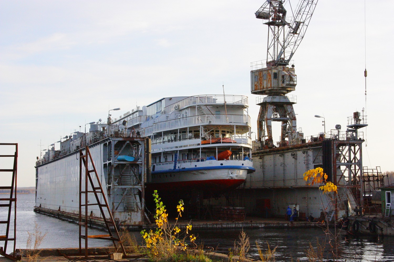 Хирург Разумовский, Плавдок-808