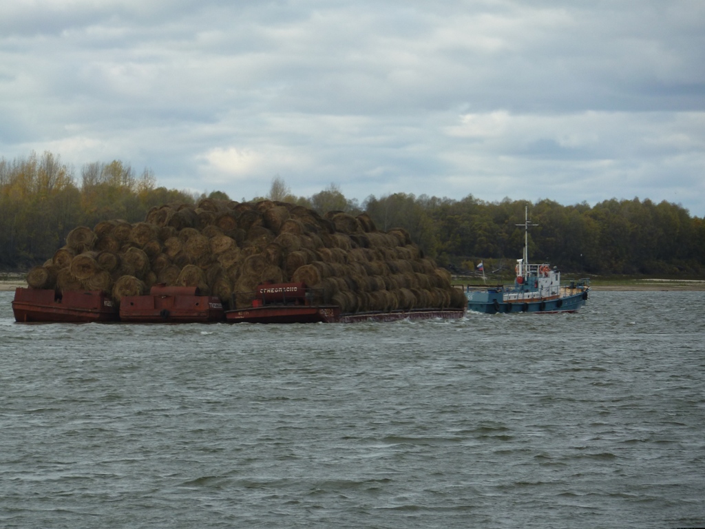 ТК-200-88, КП-200-3, 55. Unidentified ships