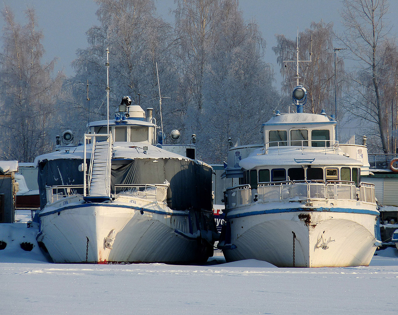 Лена, Амур