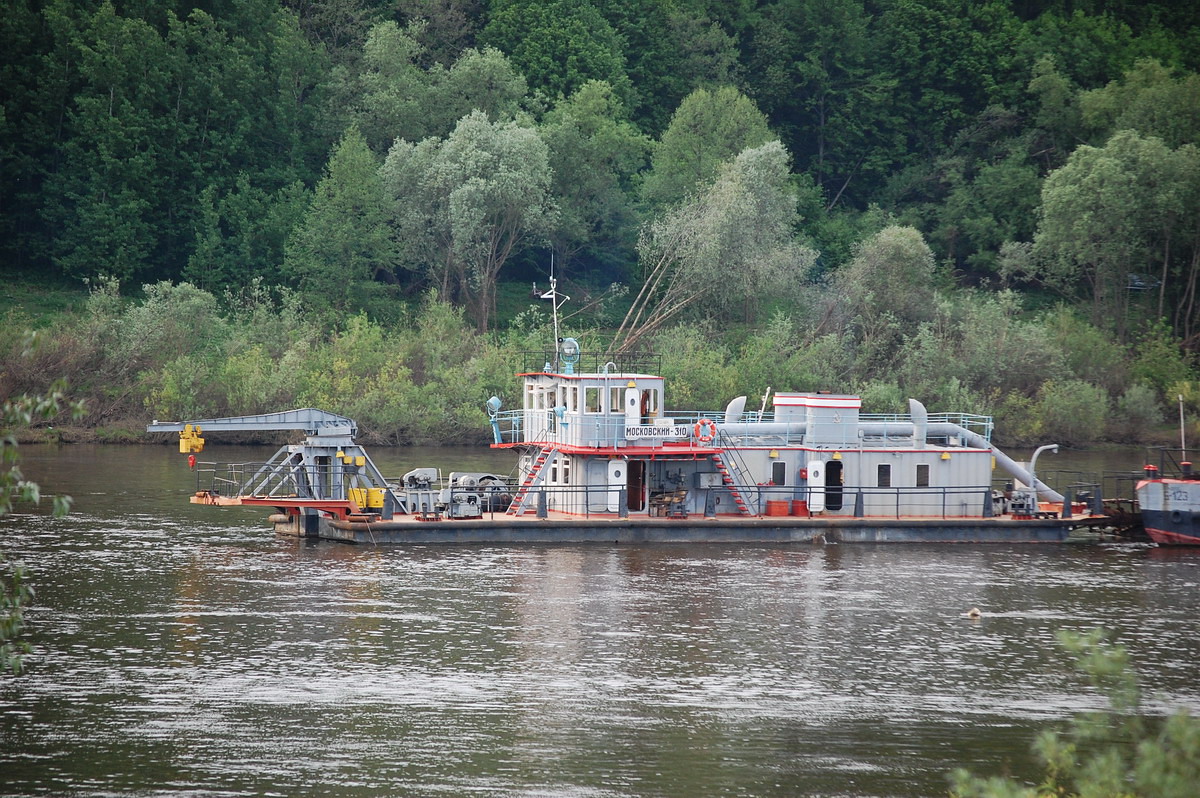 Московский-310