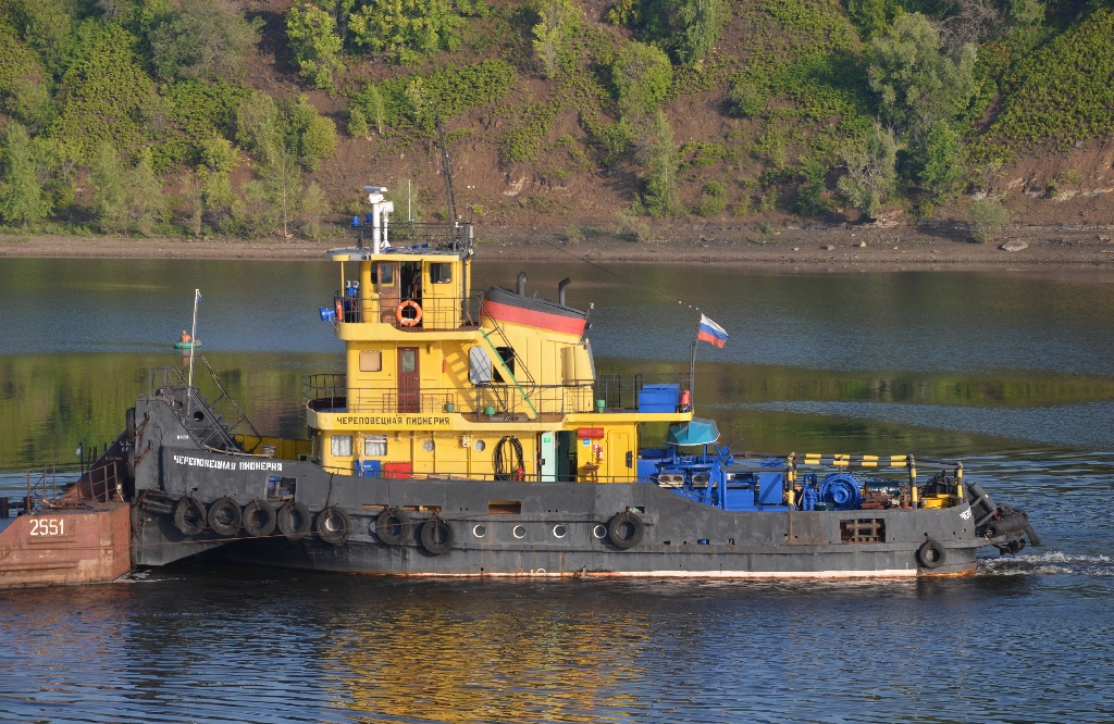 Череповецкая пионерия