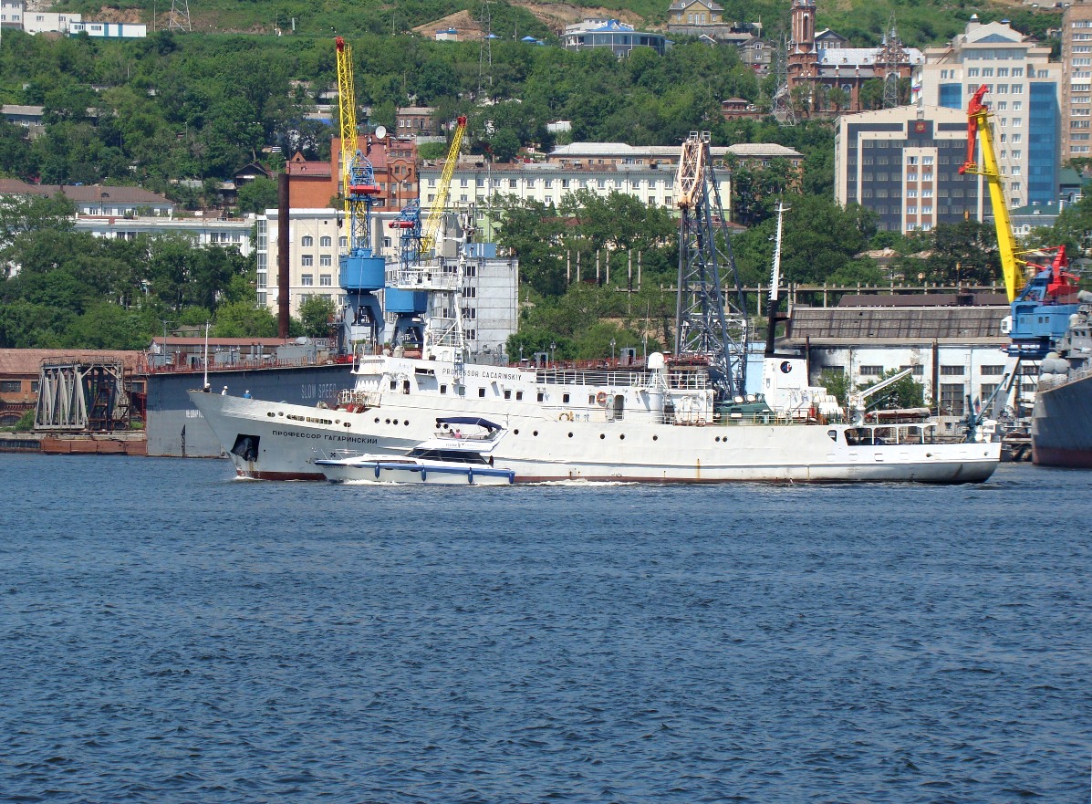 Профессор Гагаринский