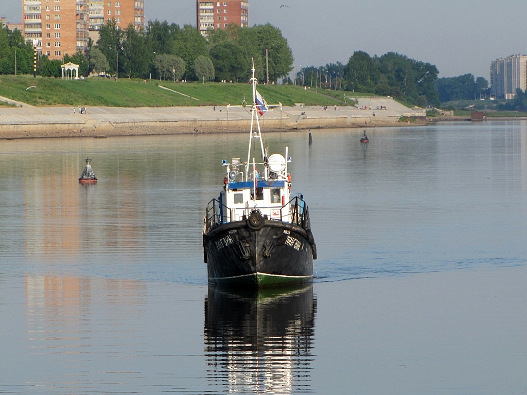 Пингвин