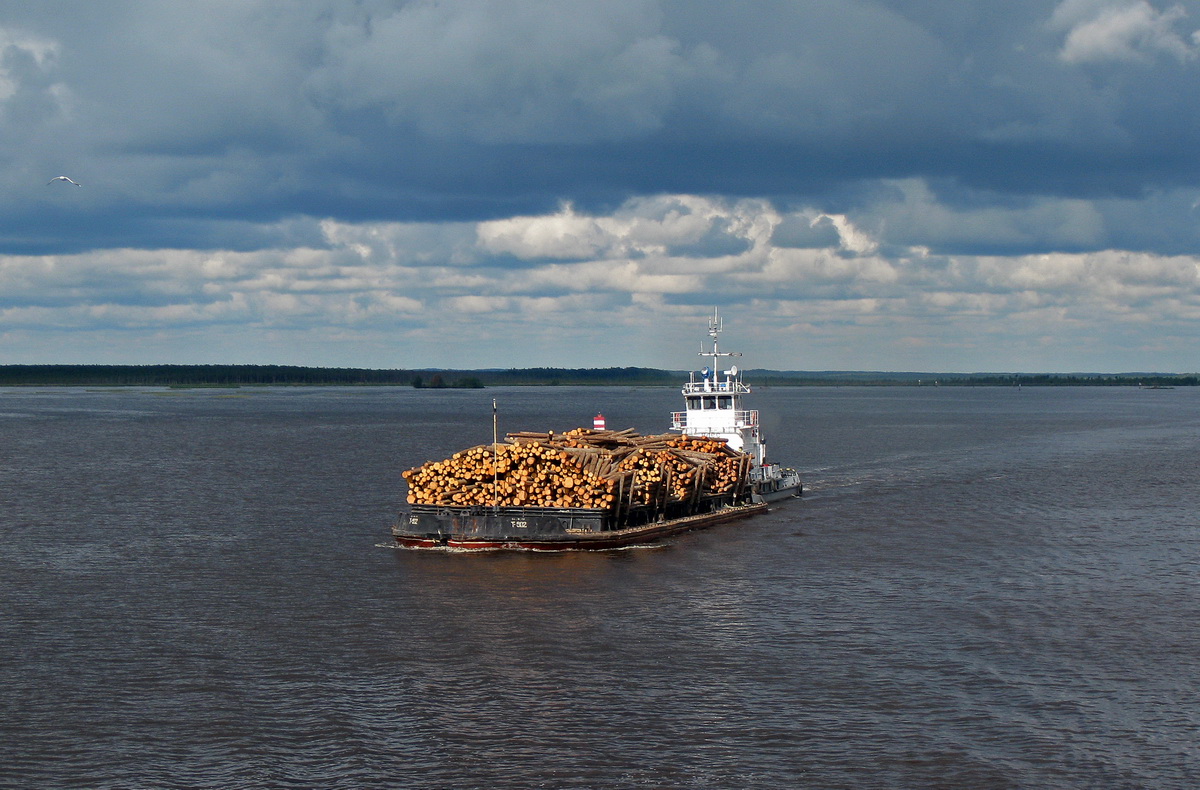 Т-602, Плёс