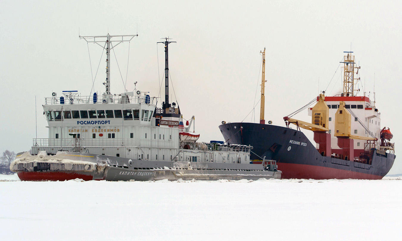 Капитан Евдокимов, Механик Ярцев