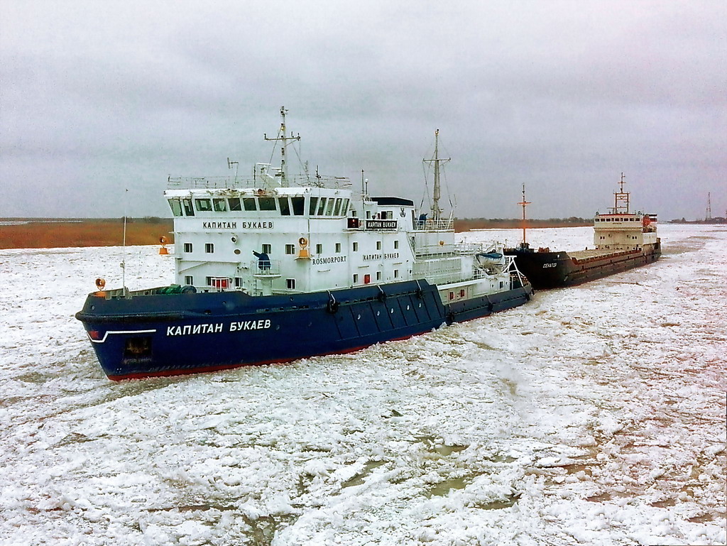 Капитан Букаев, Сенатор