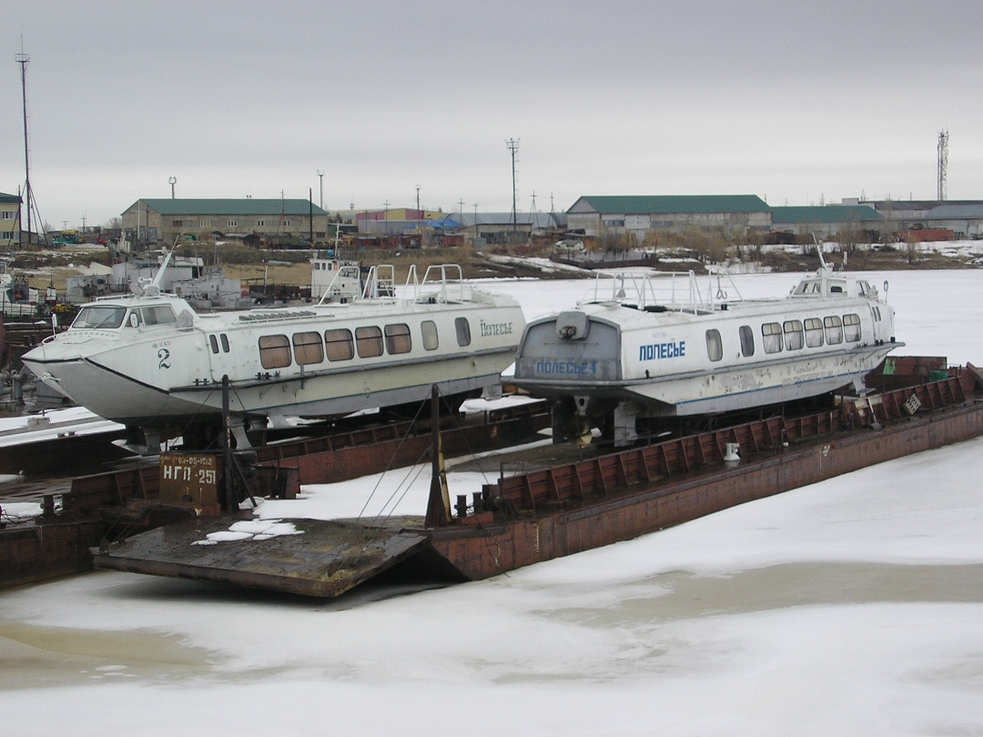 Полесье-2, Полесье-1, НГП-251