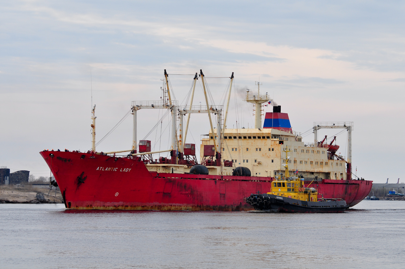 Atlantic Lady, Моржовец