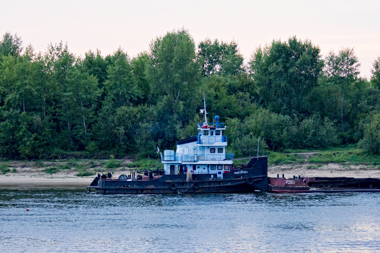 Нижегородец