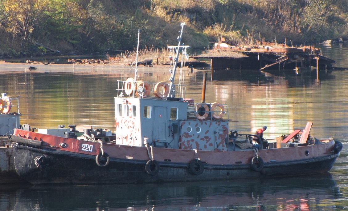 РБ-220