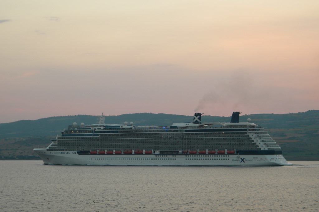 Celebrity Reflection