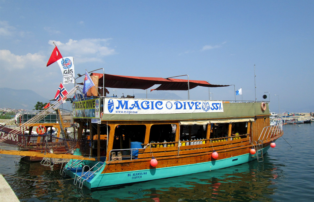 Magic Dive