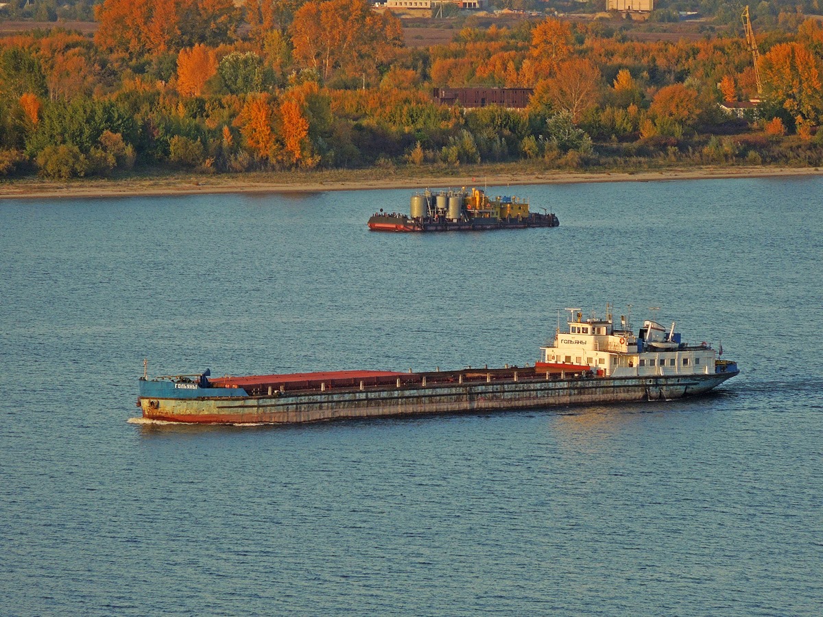 МН-41, Гольяны