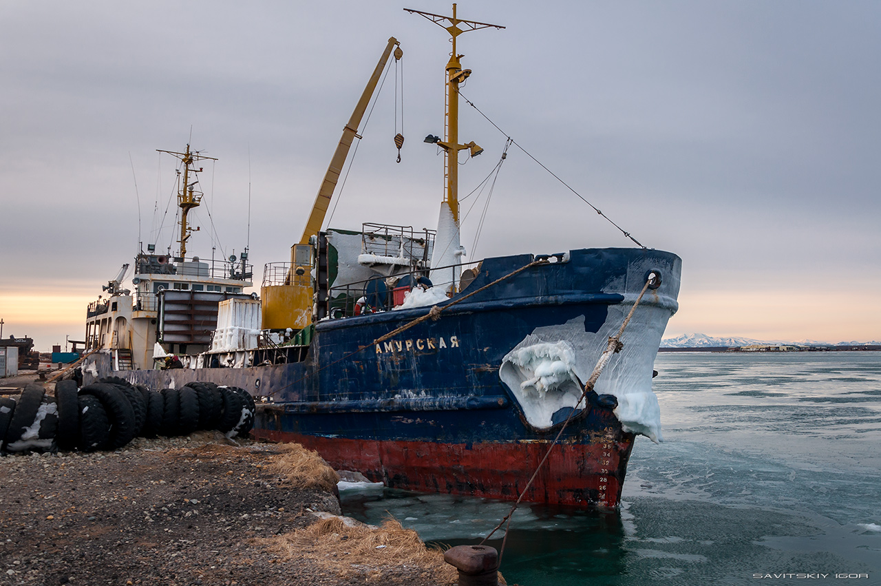 Амурская