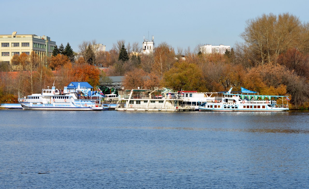 Чижик, Плавдача, Раритет