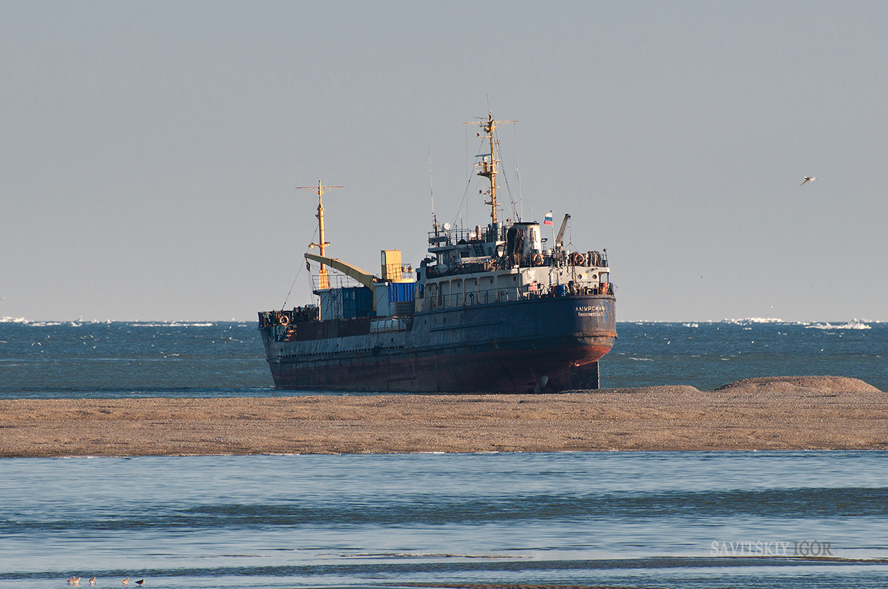 Амурская