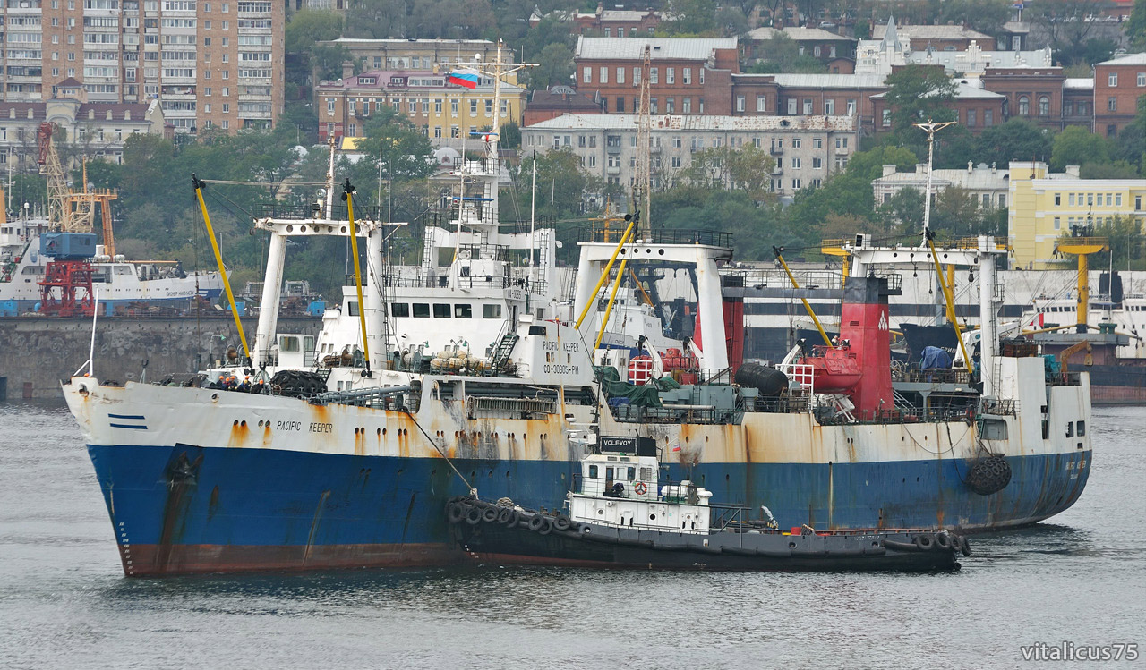 Pacific Keeper, Волевой