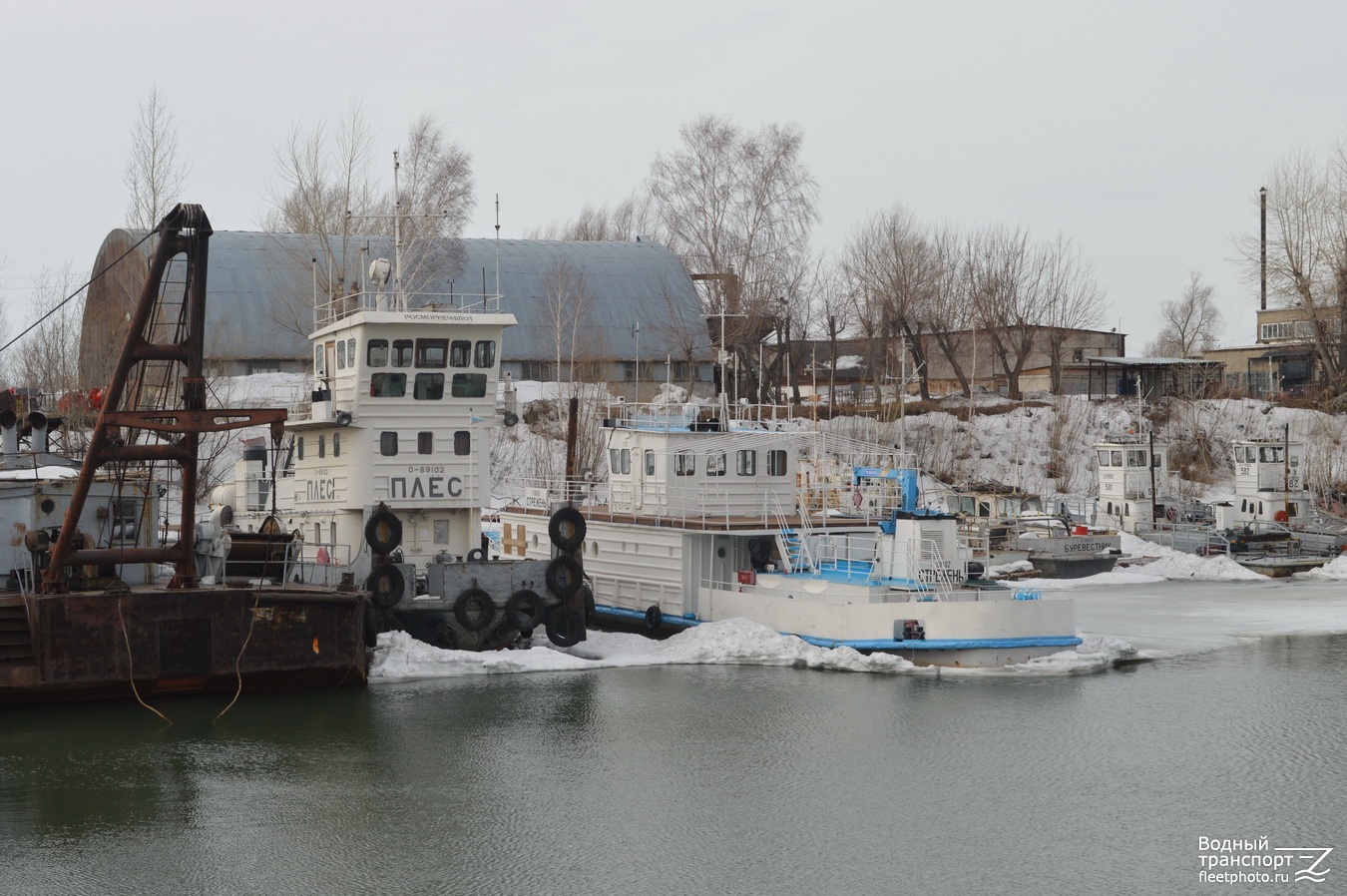 Плёс, Стрежень