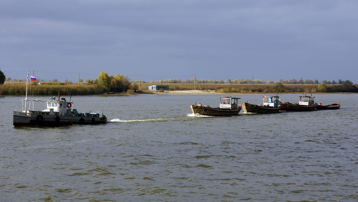 Рязань. Волжский бассейн