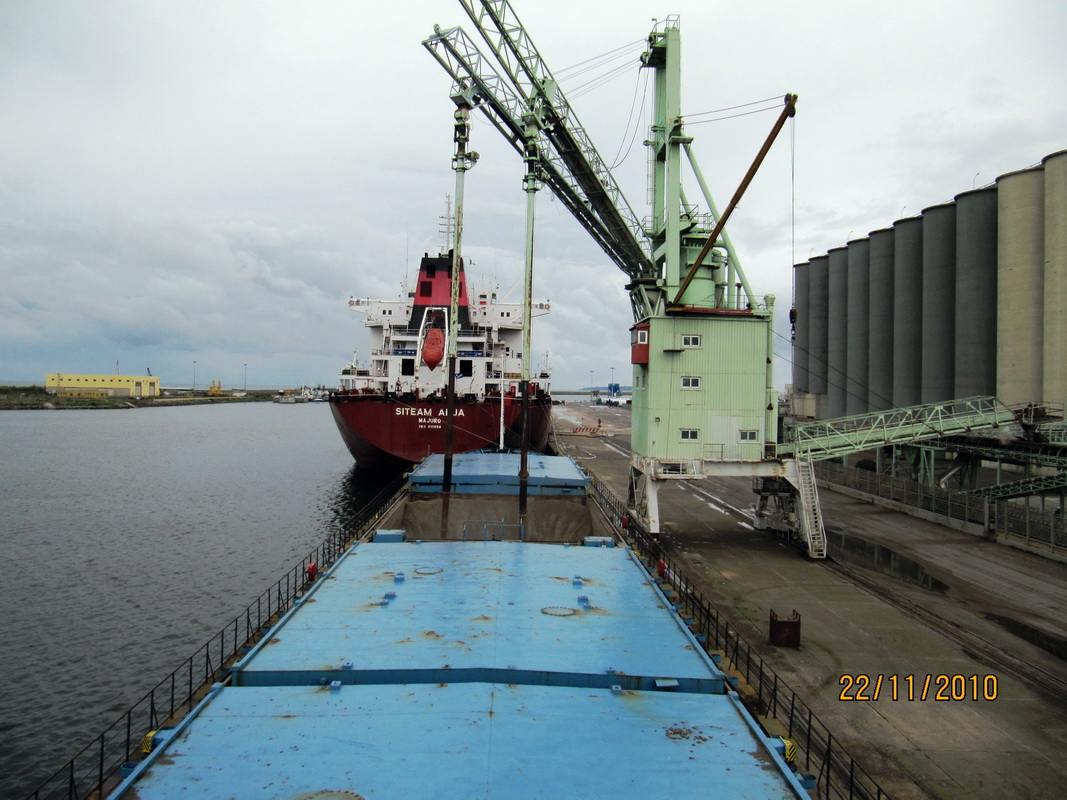 Triton. View from wheelhouses and bridge wings