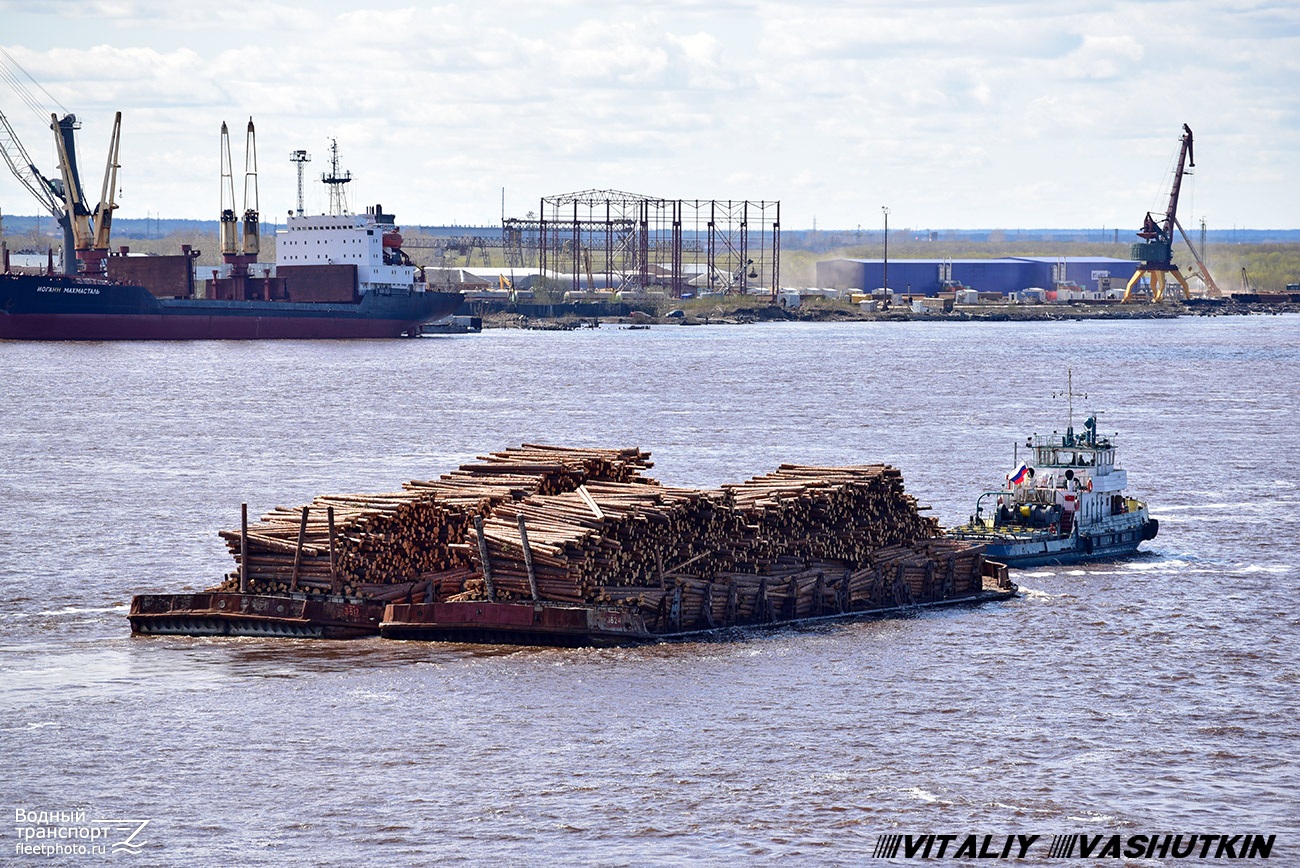 3624, Василий Плохов