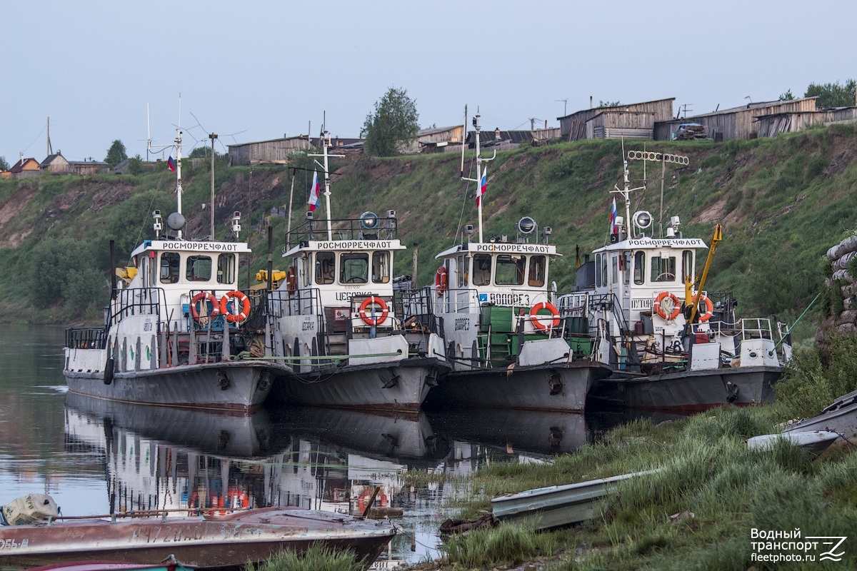 Иволга, Цесарка, Водорез, Путейский-91