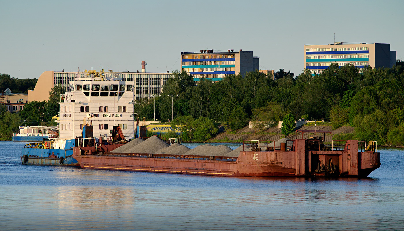 Павлин Виноградов, 7663