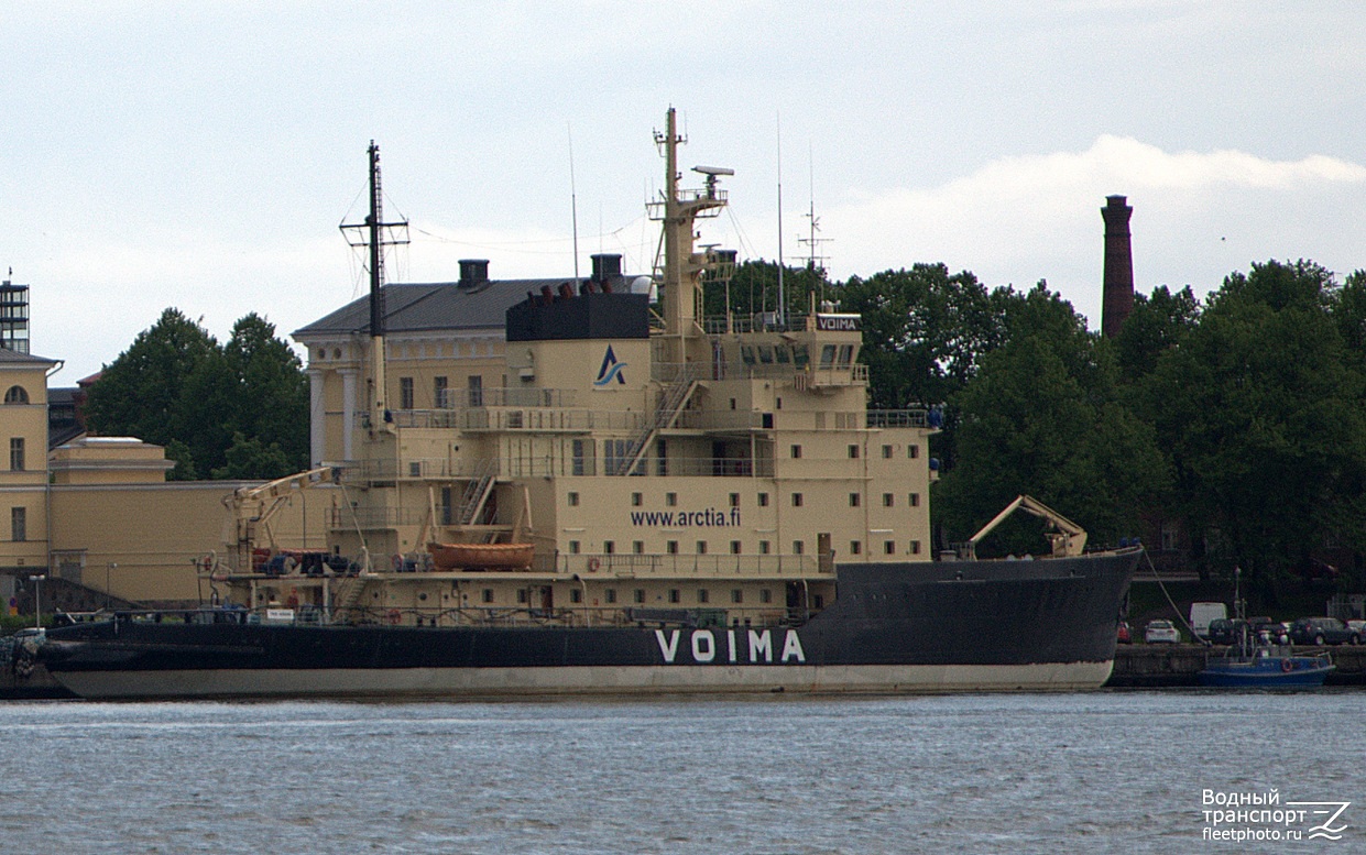 Voima