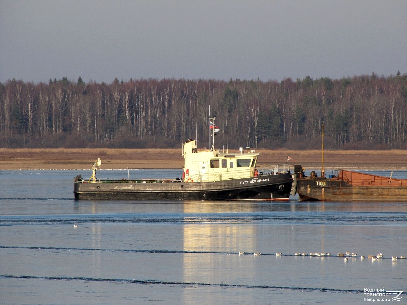 Путейский 602