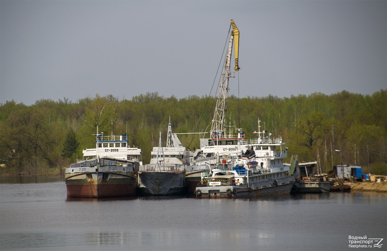 СТ-2003, Айрон шарк, Кавказ