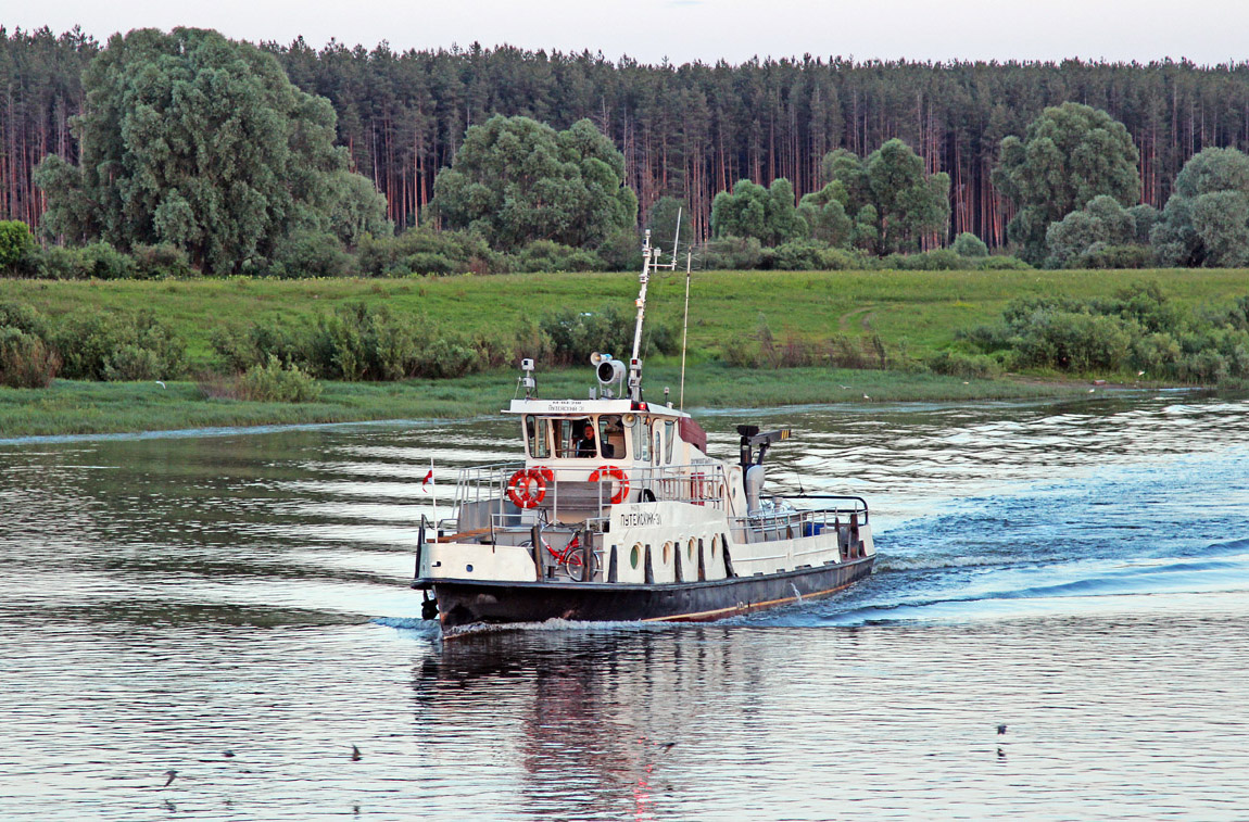 Путейский-31