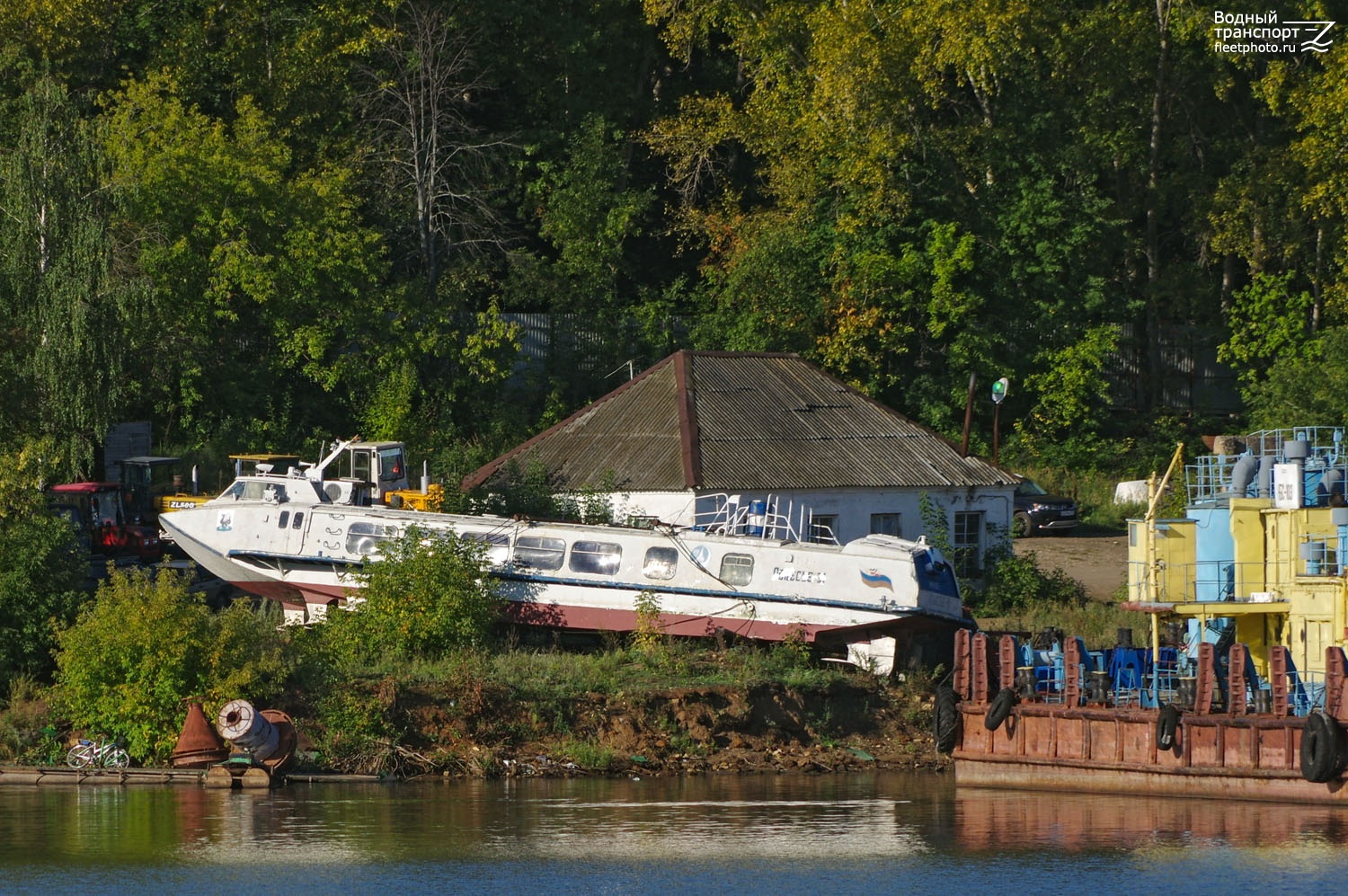 Полесье-31