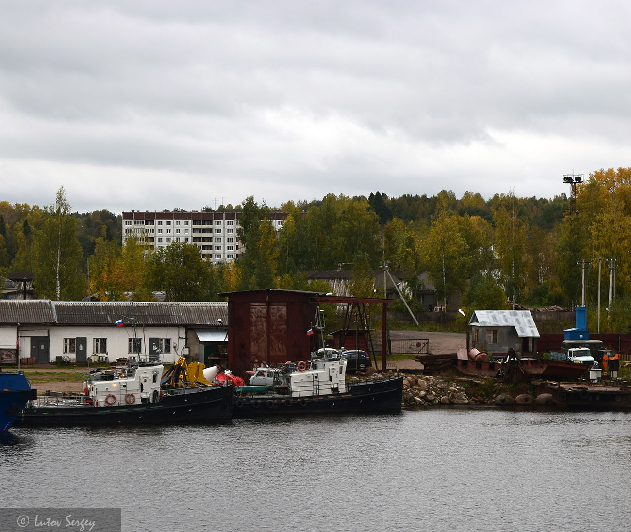 Песец, Рысь