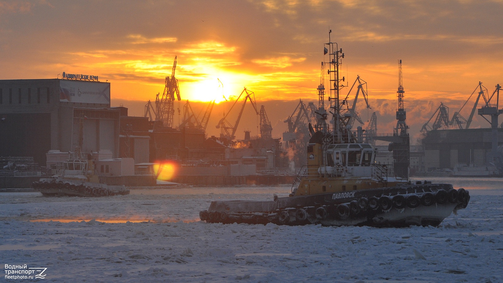 Петергоф, Павловск